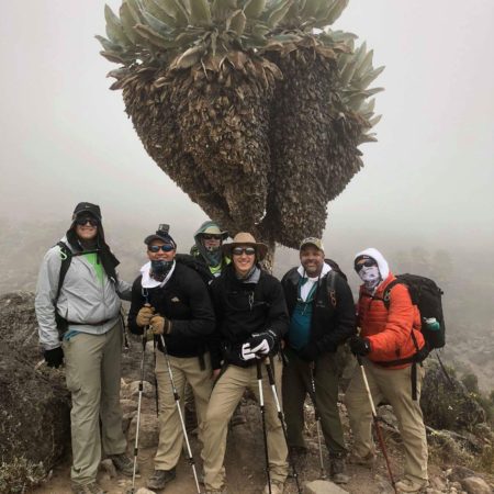 The Hohimer family in front of one on the interesting trees on Kili.